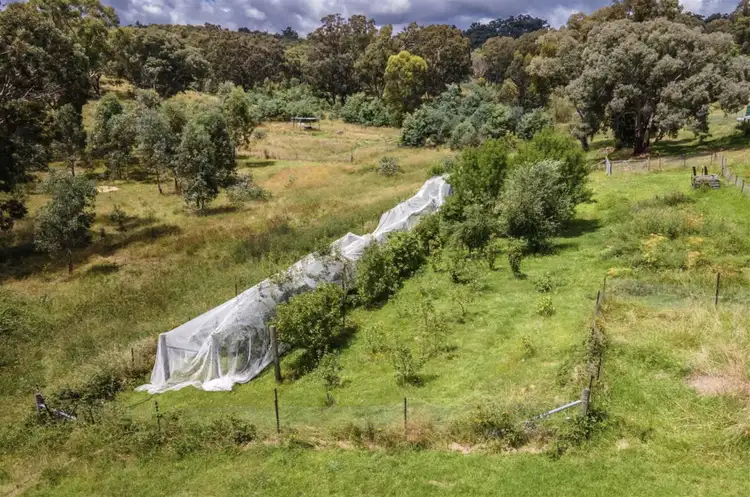 Fifth view of Homely rural property listing, 881 Mulgowrie Road, Crookwell NSW 2583