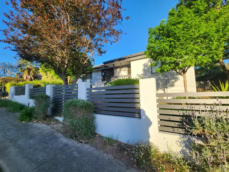 Second view of Homely house listing, 19 Barry St, Watsonia VIC 3087
