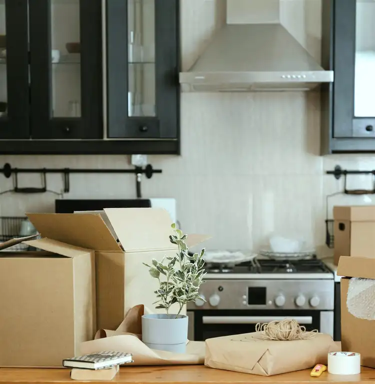 Address available on request