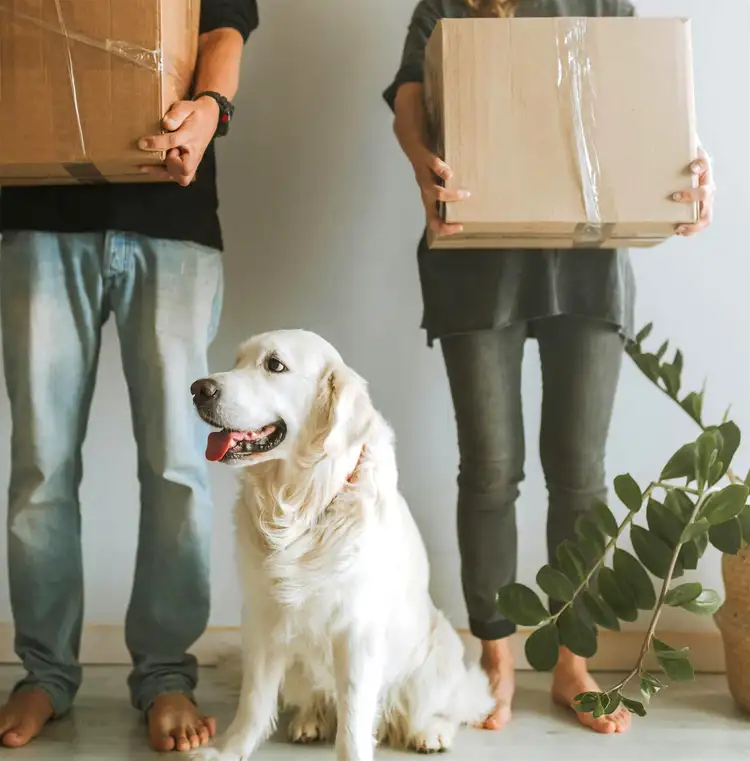 Address available on request