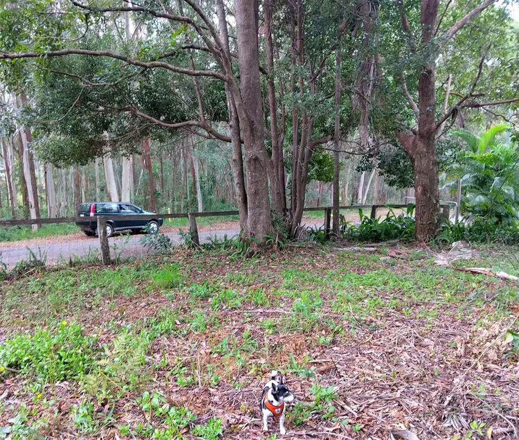 Third view of Homely land listing, 11 Murray Cresent, Russell Island QLD 4184