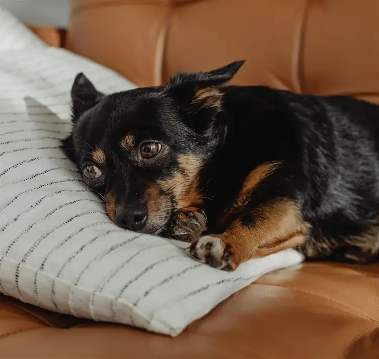 Second view of Homely house listing, Address available on request