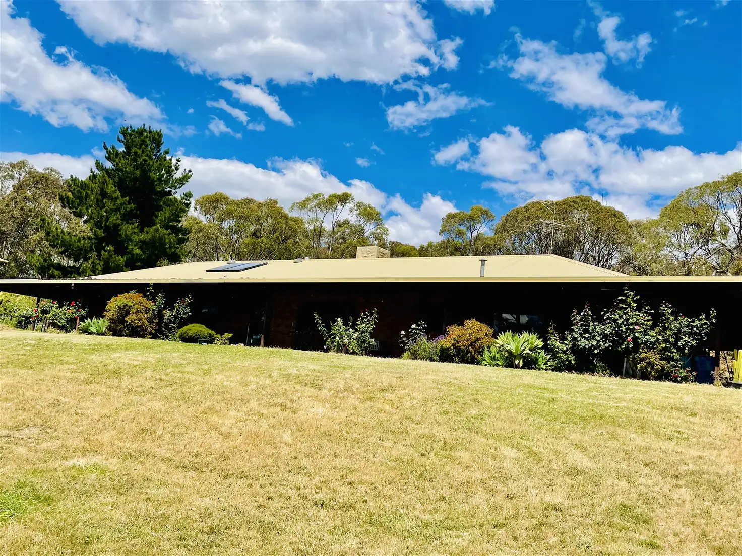 Main view of Homely house listing, 223 Baileys Rd, Wangaratta South VIC 3678