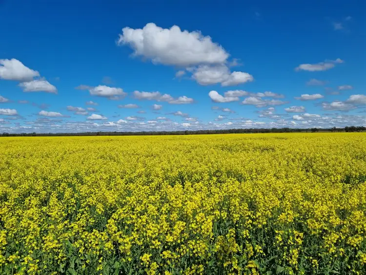 Sixth view of Homely rural property listing, 4669 Tabratong Crossing Road, Tottenham NSW 2873