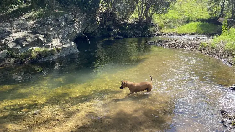 Sixth view of Homely rural property listing, Lots 28 &amp; 52/2685 Enfield Range Rd, Cooplacurripa NSW 2424