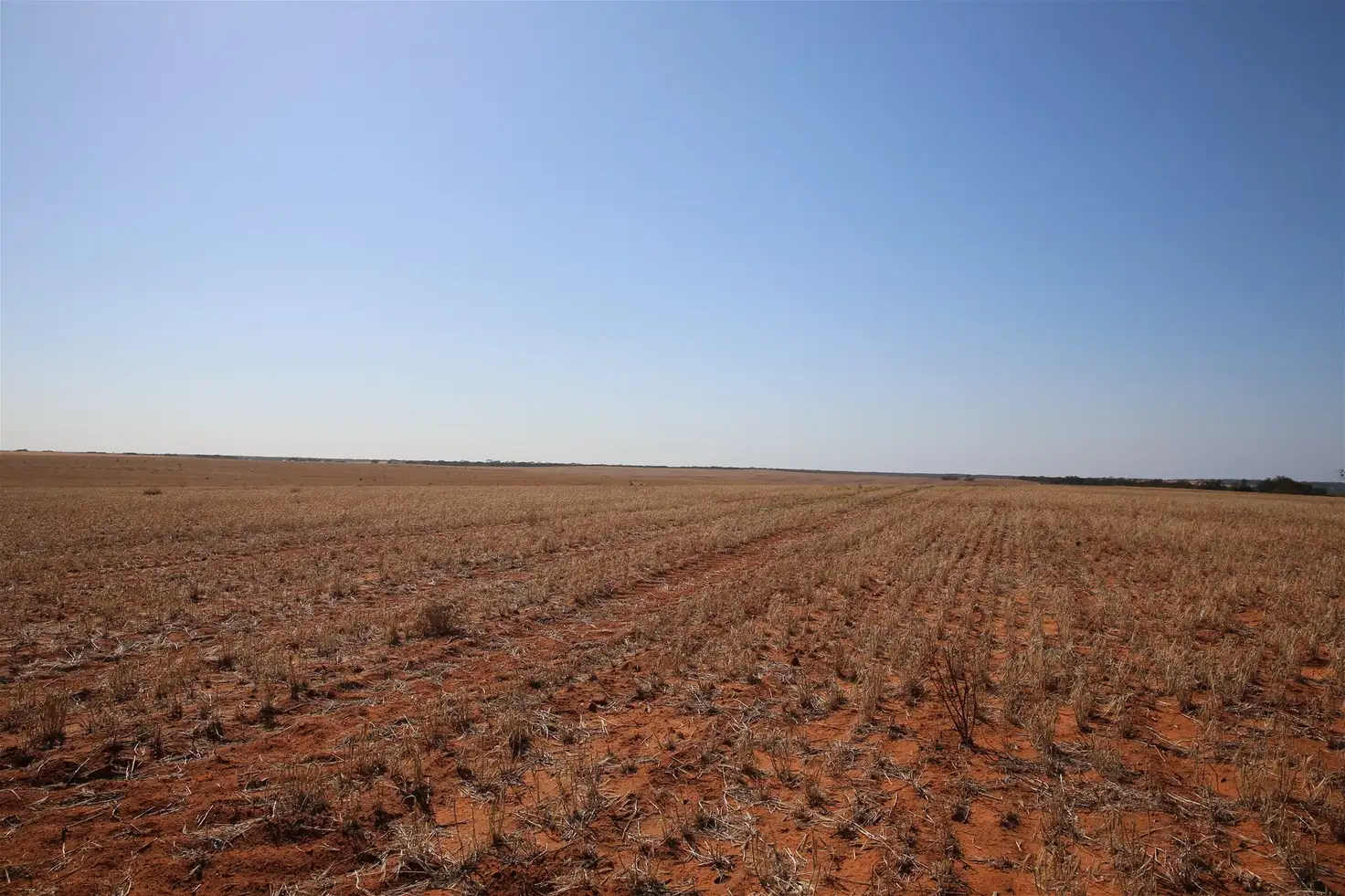 Main view of Homely rural property listing, Address available on request