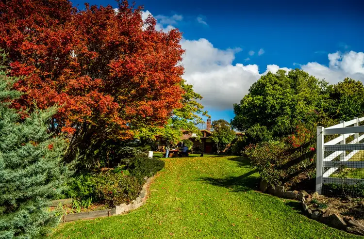 Fourth view of Homely rural property listing, 224 Wallaroo Range Road, Willsons Downfall NSW 2372