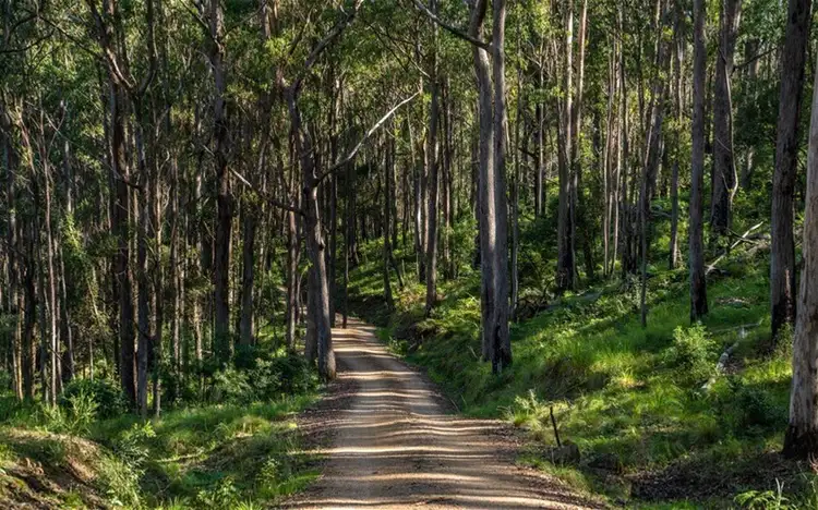 Fifth view of Homely rural property listing, 224 Wallaroo Range Road, Willsons Downfall NSW 2372