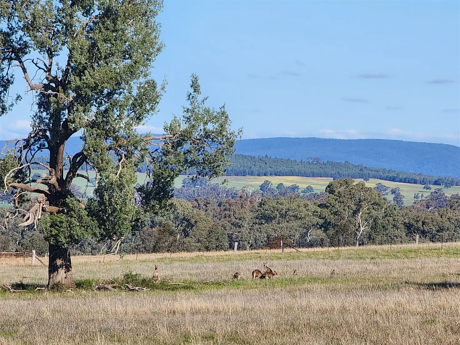 Main view of Homely land listing, 91 Aitken Lane, Parkes NSW 2870