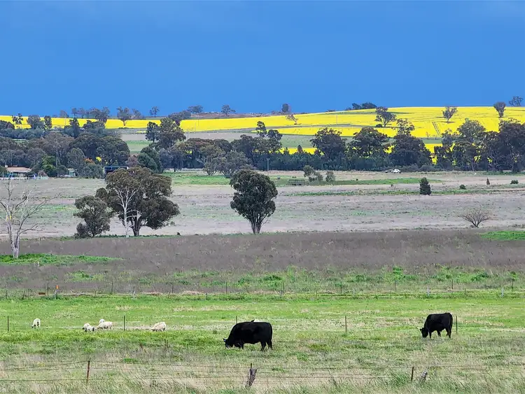 Fourth view of Homely land listing, 91 Aitken Lane, Parkes NSW 2870