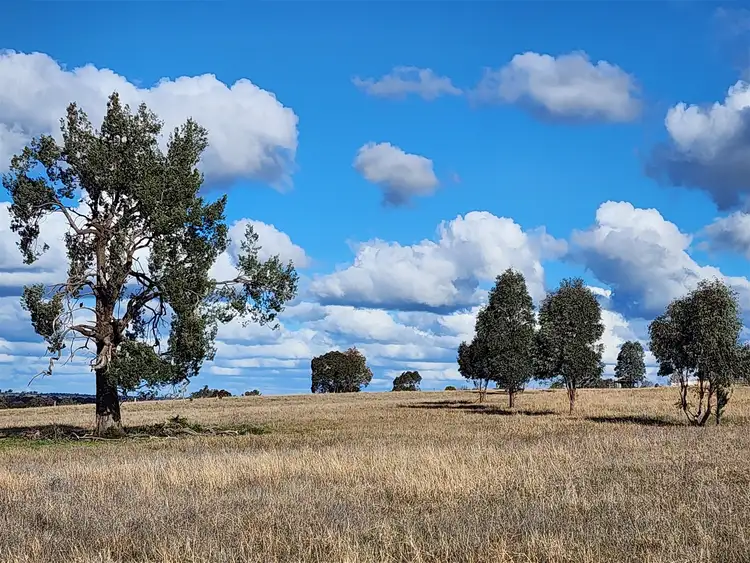 Seventh view of Homely land listing, 91 Aitken Lane, Parkes NSW 2870