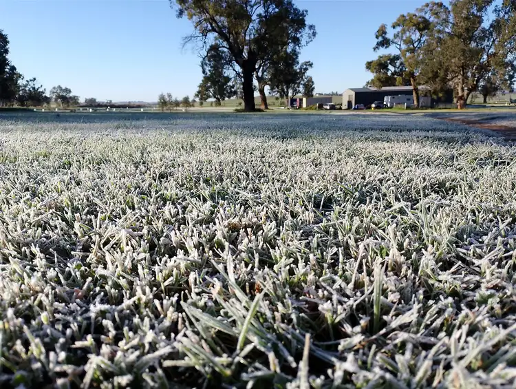 Sixth view of Homely rural property listing, 14317 Golden Highway, Dunedoo NSW 2844