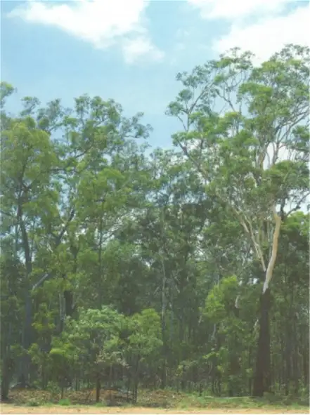 Third view of Homely land listing, 70 Launceston Road, Dundee Beach NT 840