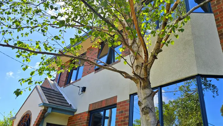 2A The Highway, Bentleigh VIC 3204