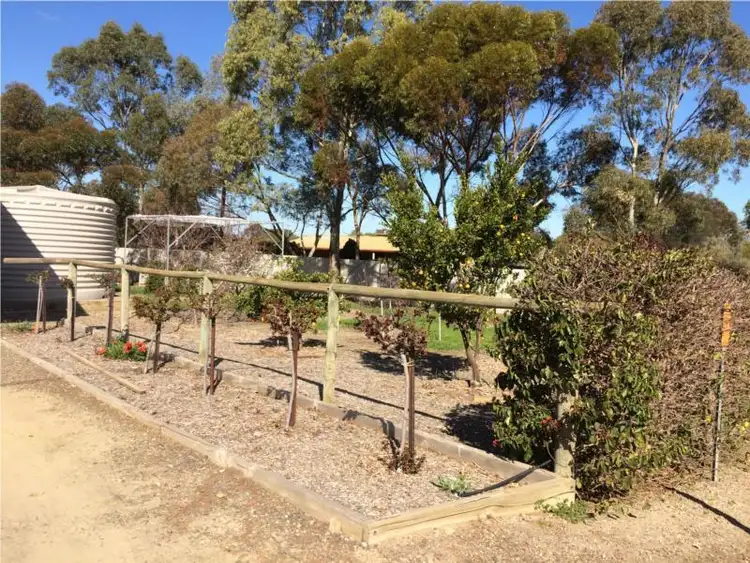 Third view of Homely house listing, 13 Stephenson Street, Freeling SA 5372