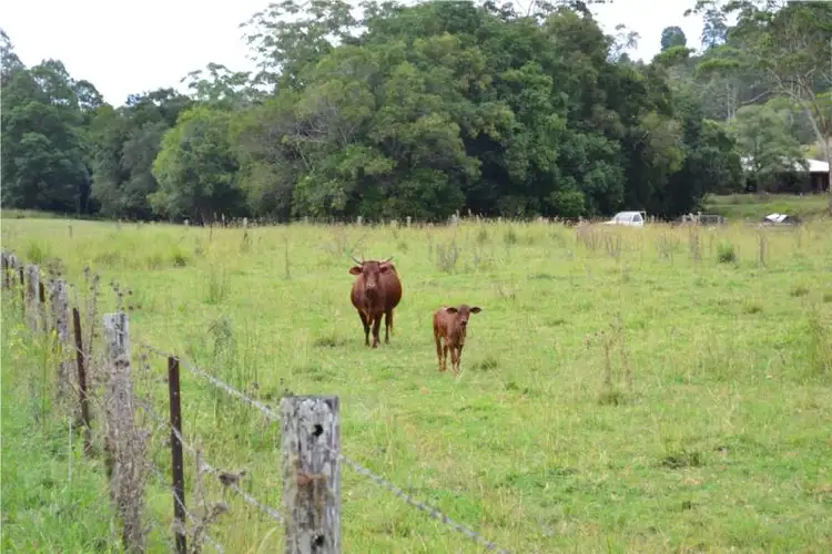 Second view of Homely rural property listing, 207 Harper Creek, Conondale QLD 4552