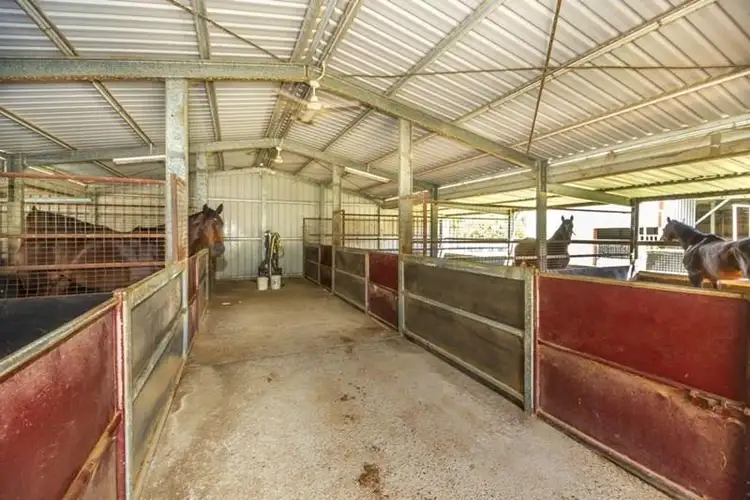 Fifth view of Homely rural property listing, 930 Neurum Road, Neurum QLD 4514