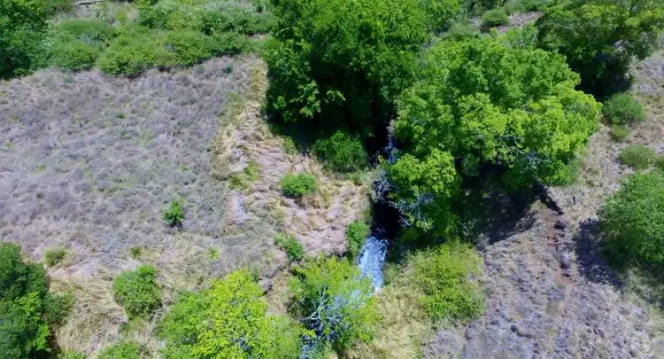 Second view of Homely rural property listing, 8247 DAGUILAR HIGHWAY, Moore QLD 4306