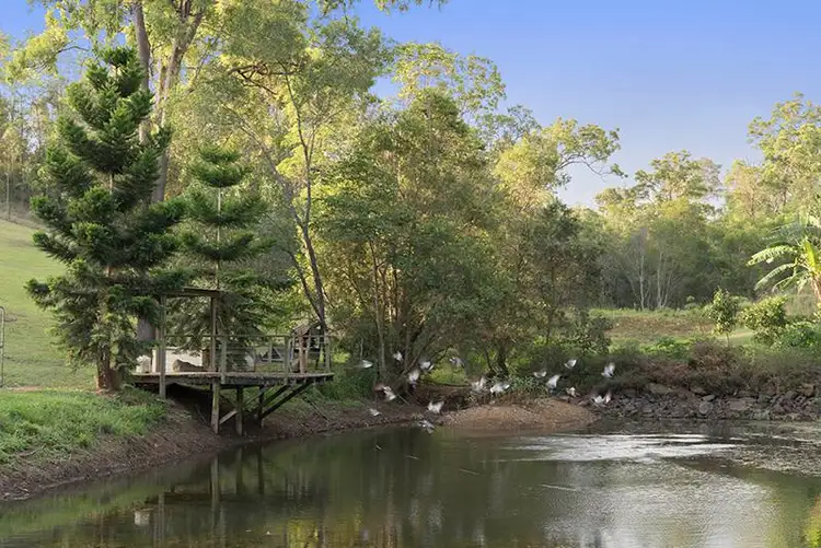 Fifth view of Homely rural property listing, 8 Andrew Clarke Road, Whiteside QLD 4503