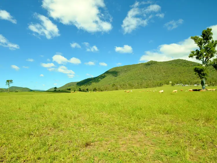 Third view of Homely rural property listing, 51 Doyles Road, Neurum QLD 4514
