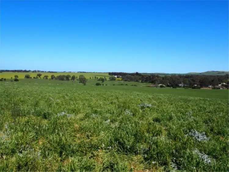 Lot 1 Short Street, Mintaro SA 5415