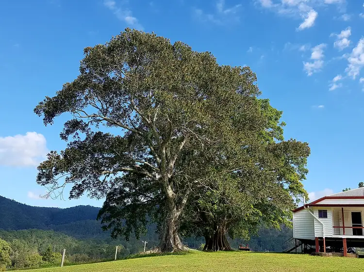 1606 Mount Kilcoy Road, Mount Kilcoy QLD 4515