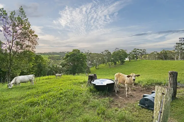Sixth view of Homely house listing, 57 Hayward Road, Lake Macdonald QLD 4563