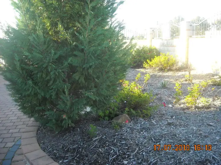 Seventh view of Homely house listing, 1 Amazon Drive, Beechboro WA 6063