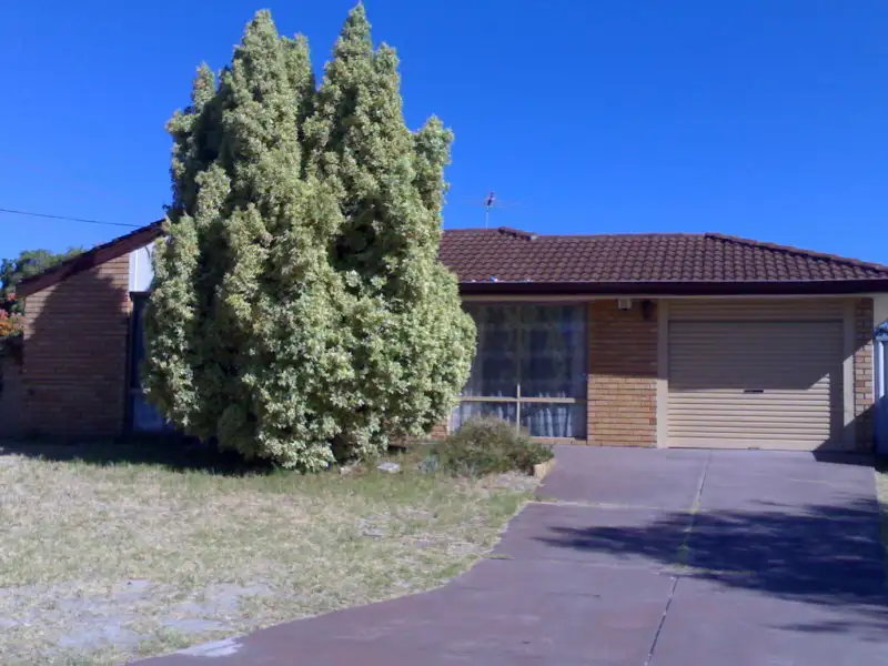 Main view of Homely house listing, 42 Darwin Crescent, Beechboro WA 6063