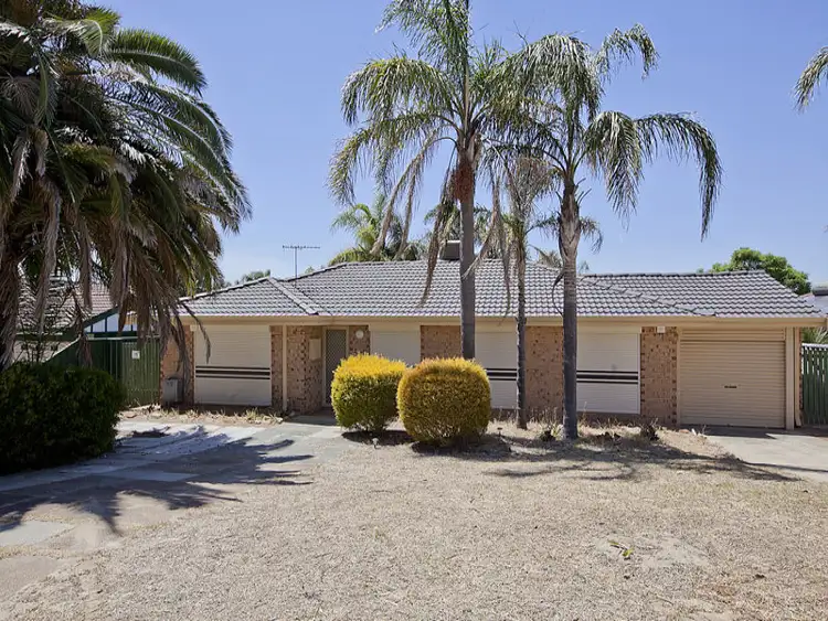 4 Highview St, Alexander Heights WA 6064