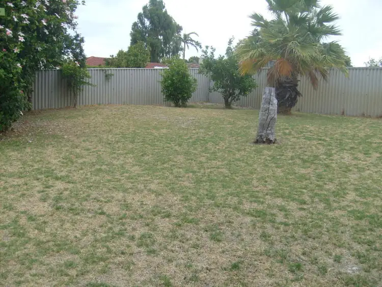 Seventh view of Homely house listing, 3 Meagher Way, Beechboro WA 6063