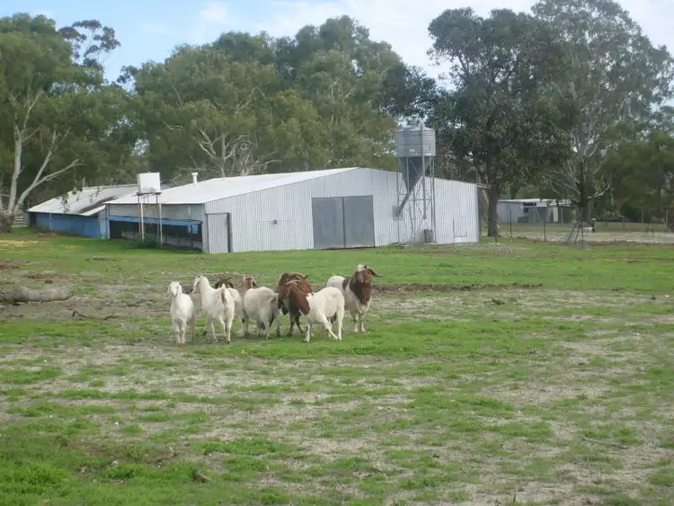Second view of Homely rural property listing, 50 Tuart Road, Oakford WA 6121