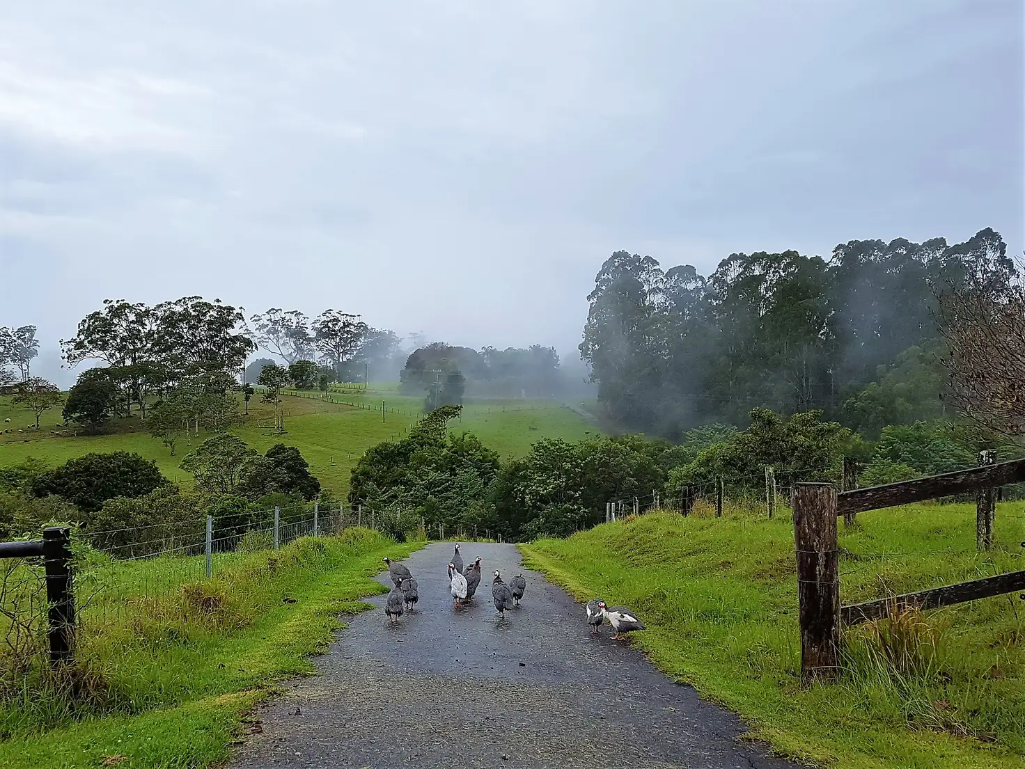 Main view of Homely rural property listing, 794 Curramore Road, Curramore QLD 4552