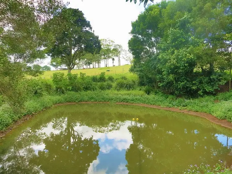 Sixth view of Homely rural property listing, 794 Curramore Road, Curramore QLD 4552