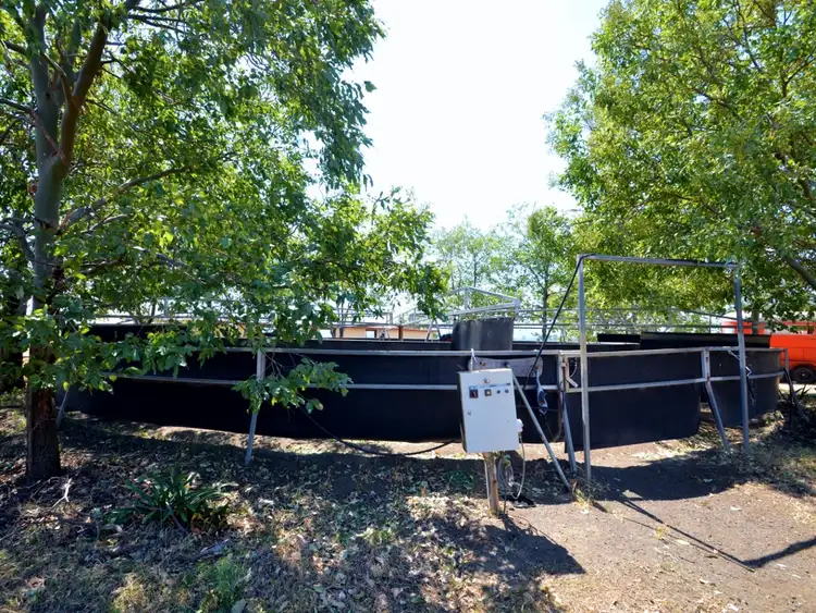 Fifth view of Homely rural property listing, 152 Macaulay Road, Westbrook QLD 4350