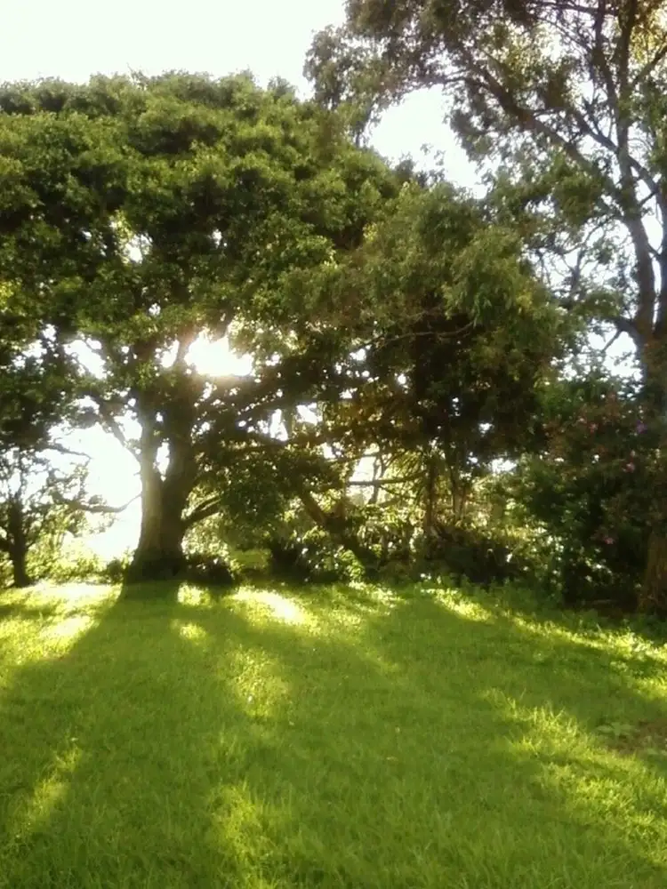 Second view of Homely house listing, 146 Fairweathers Lane, Kinchela NSW 2440