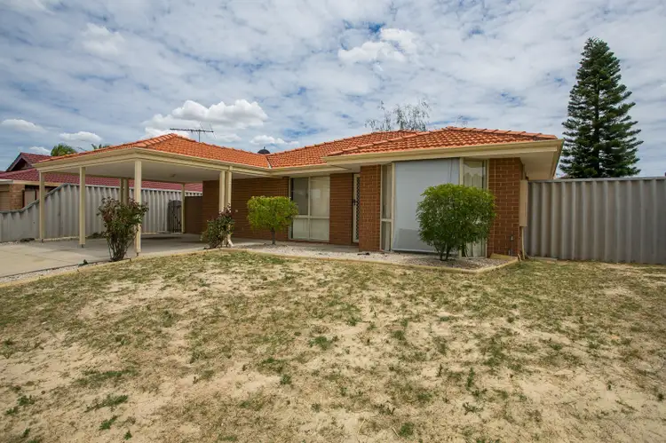 Main view of Homely house listing, 19 Doctorate Close, Marangaroo WA 6064