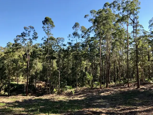 42 Missing Link Rd, Ilkley QLD 4554