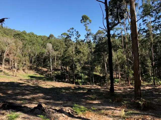 Third view of Homely land listing, 42 Missing Link Rd, Ilkley QLD 4554