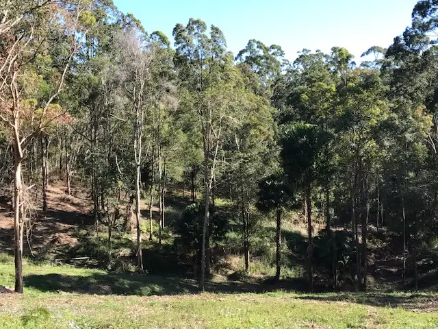 Fourth view of Homely land listing, 42 Missing Link Rd, Ilkley QLD 4554
