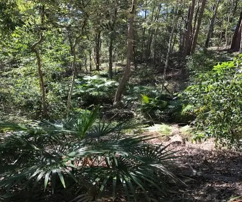 Seventh view of Homely land listing, 42 Missing Link Rd, Ilkley QLD 4554