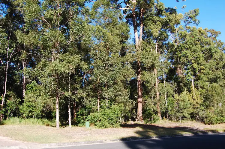 Fourth view of Homely land listing, 52 NYLANA WAY, Doonan QLD 4562