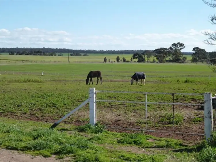 Seventh view of Homely house listing, 885 Saddleworth Road, Saddleworth SA 5413
