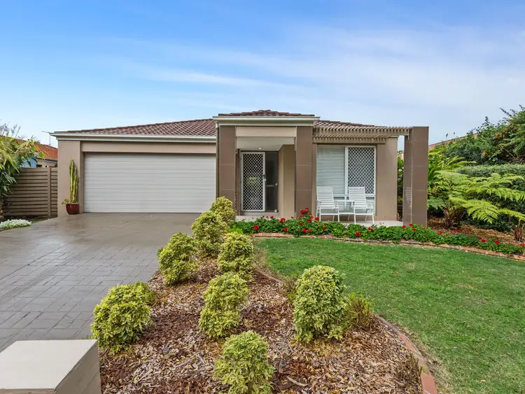 51 Macaranga Crescent, Carseldine QLD 4034