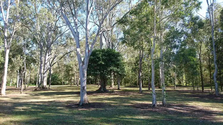 Fifth view of Homely house listing, 51 Macaranga Crescent, Carseldine QLD 4034