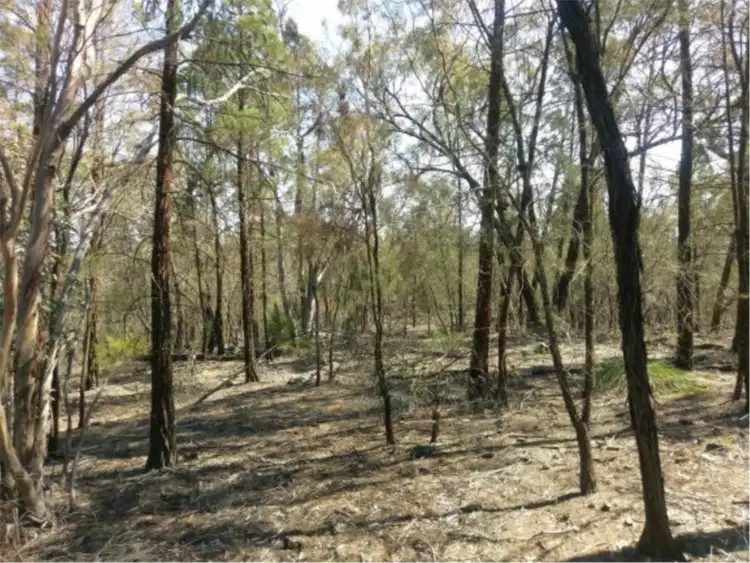 Fourth view of Homely land listing, Lot 9 919 Mollyann Road, Binnaway NSW 2395