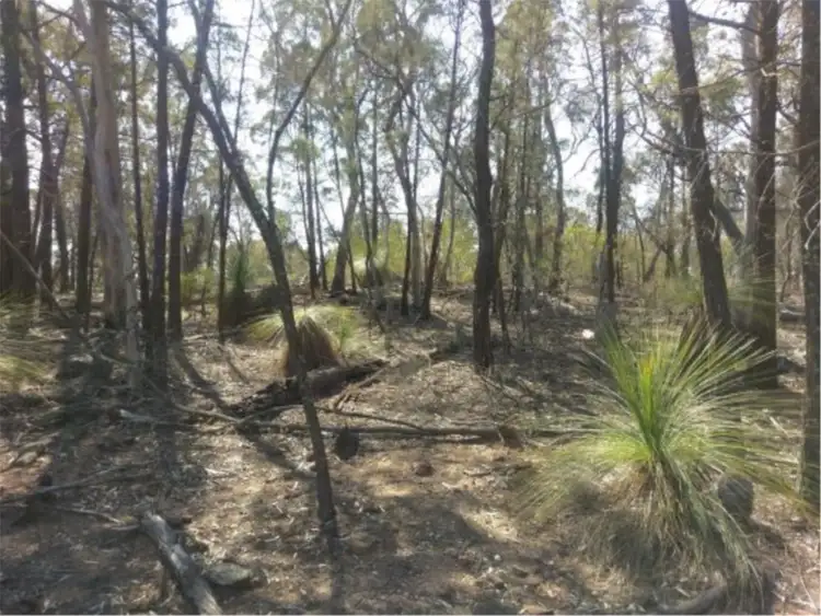Fifth view of Homely land listing, Lot 9 919 Mollyann Road, Binnaway NSW 2395