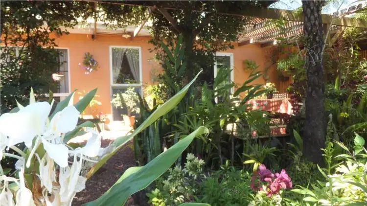 Second view of Homely house listing, 36 Robinson Road, Wondecla QLD 4887