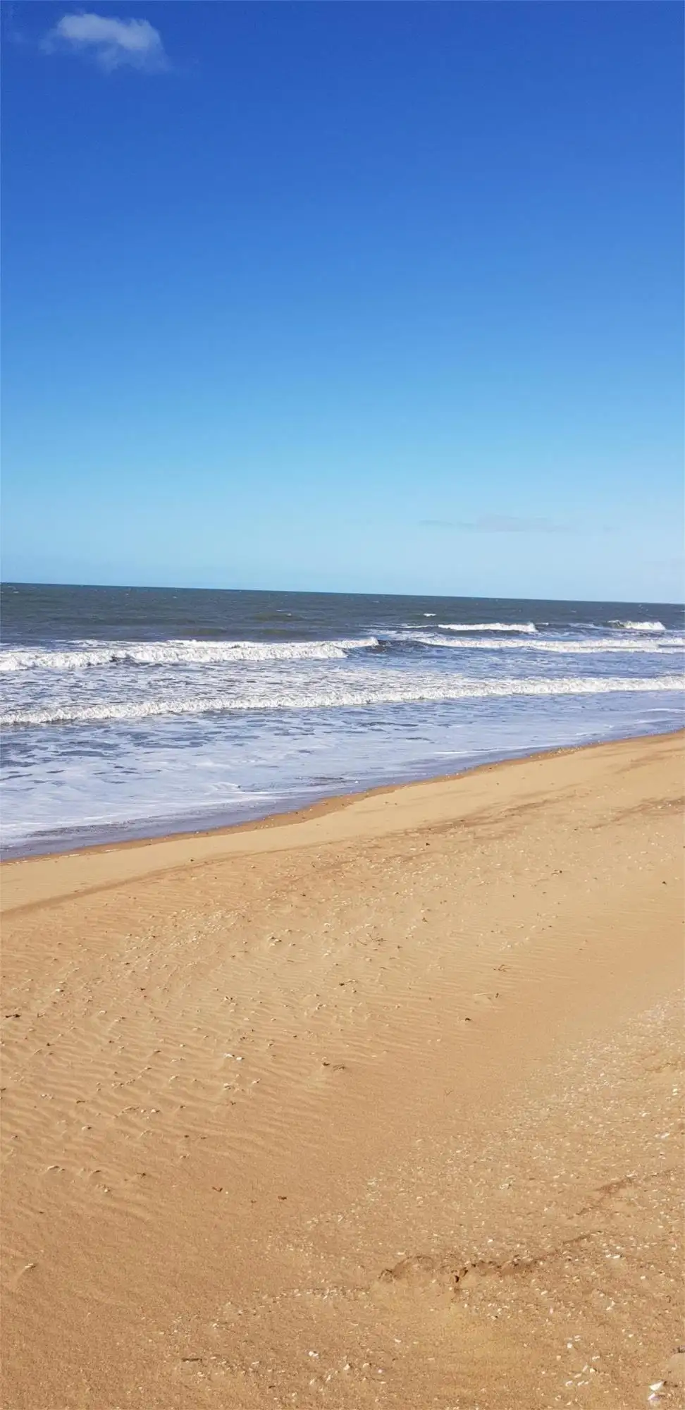 Main view of Homely land listing, 230 Sylvan Drive, Moore Park Beach QLD 4670