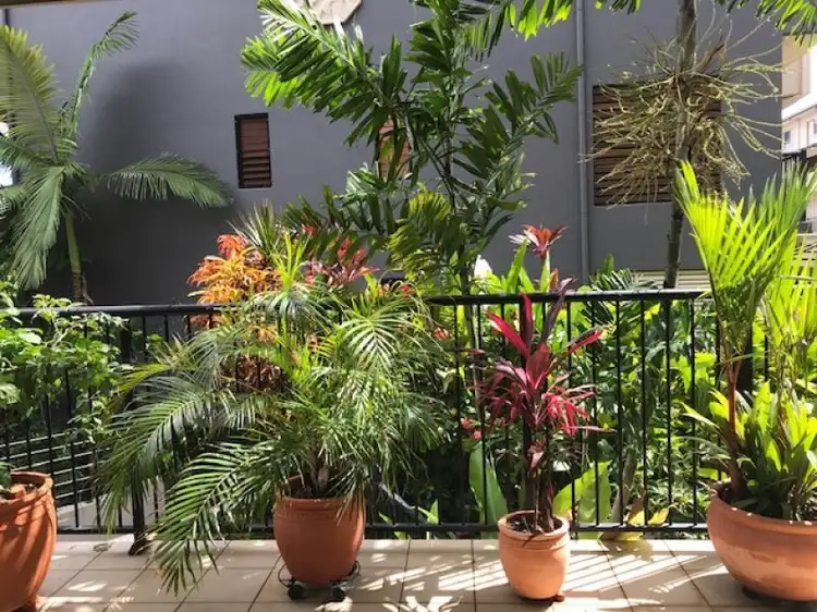 Fourth view of Homely apartment listing, 55 Clifton Road, Clifton Beach QLD 4879